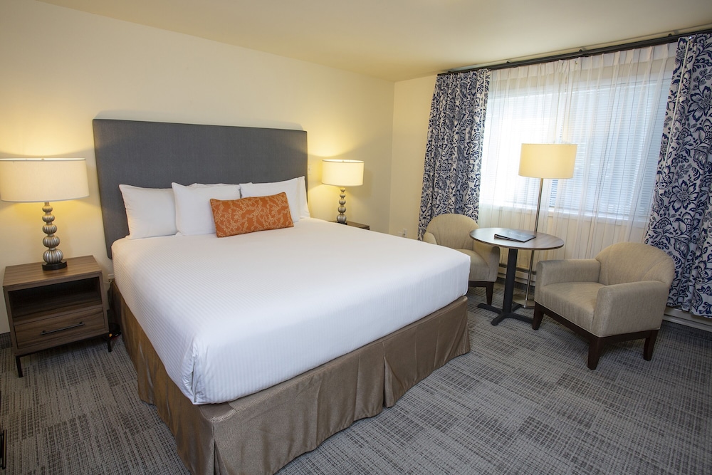 Lakeshore Inn - photo 6