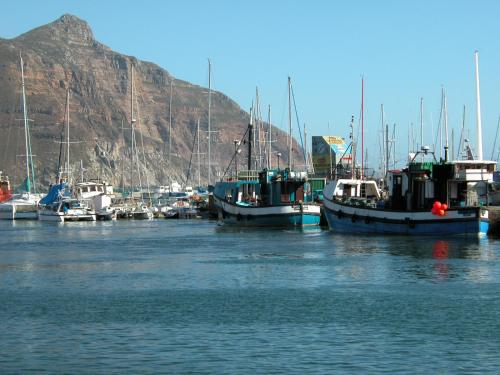 The Palm Hout Bay