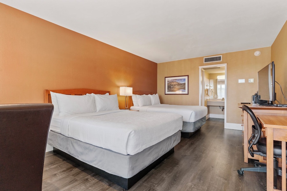 Vagabond Inn Executive San Francisco Airport - photo 12