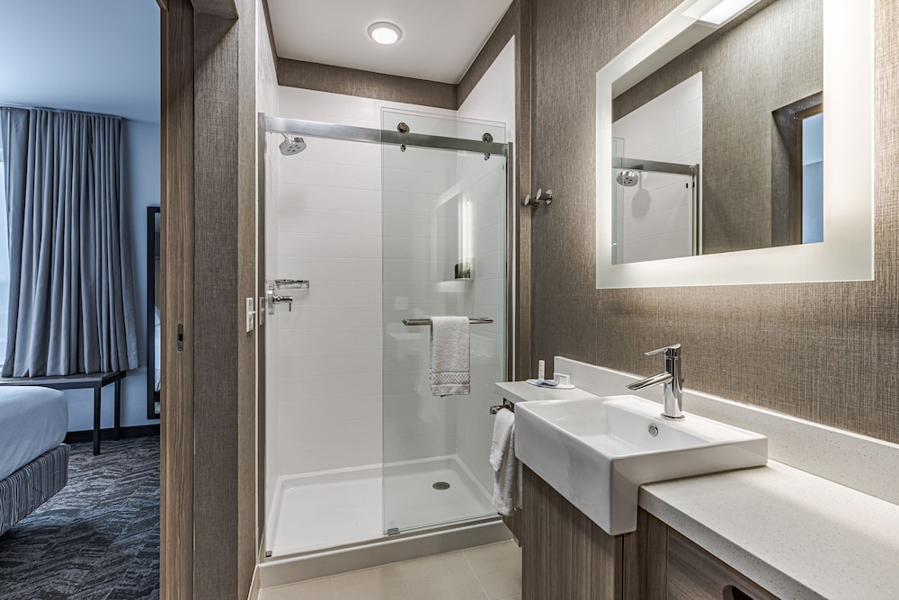 SpringHill Suites by Marriott Detroit Sterling Heights - photo 18