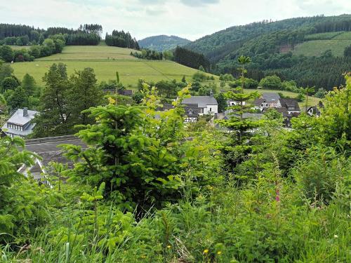 Häuser Traumblick und Alpenzauber in Lennestadt, Germany