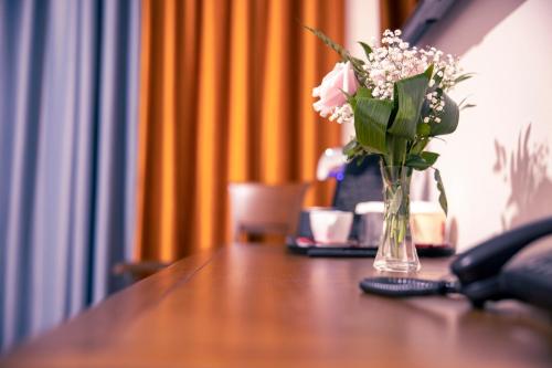 Hotel Aura Unirii — Alba Iulia — photo 5