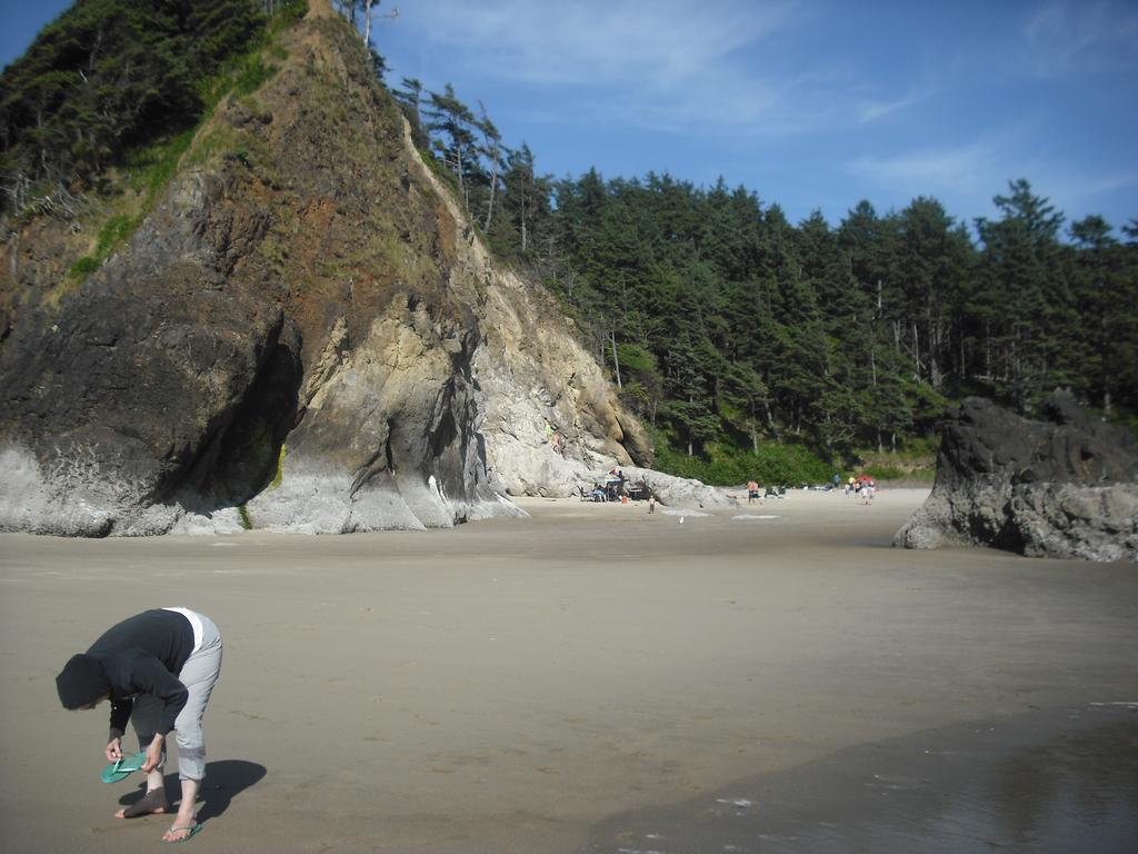 Grey Whale Inn - photo 6