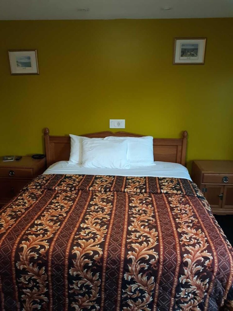 99 Palms Inn & Suites - photo 13