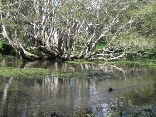 Brisbane Bay Cycle Stay — Brisbane — photo 2