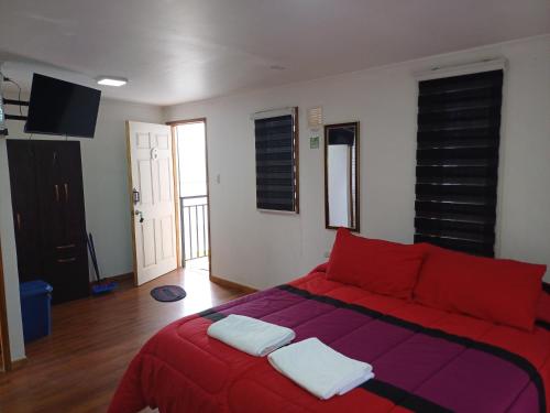 Loftdonalejandro — Machali — photo 4