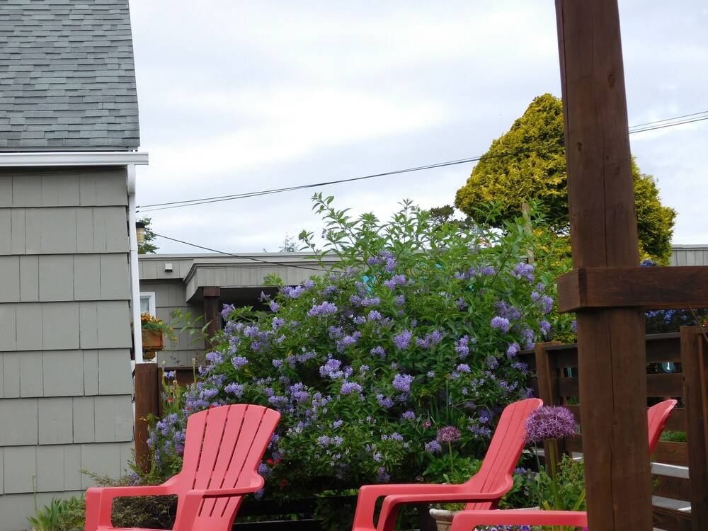 The Anchorage Cottages - photo 63
