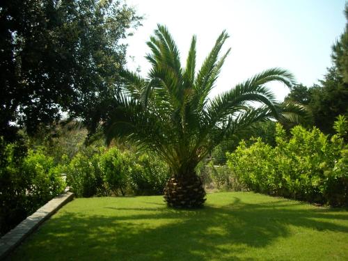 Appartamento Sole e Mare — Stintino — photo 5