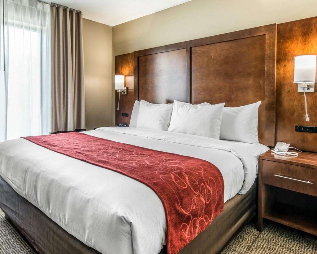 Comfort Suites Dunnellon near Rainbow Springs - photo 18