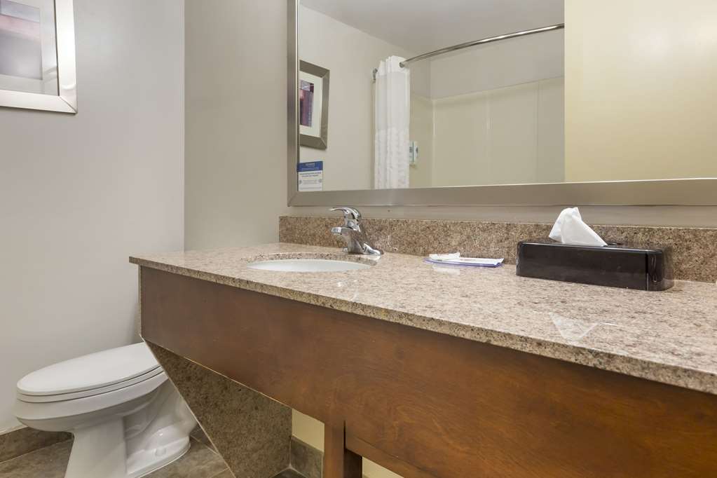 Comfort Suites Inn at Ridgewood Farm - photo 11