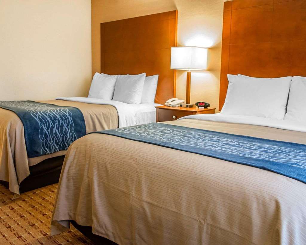Comfort Inn & Suites Franklin East - photo 19