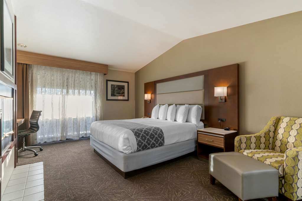Best Western Plus Forest Park Inn - photo 7