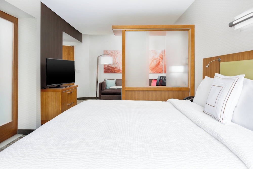 Springhill Suites San Diego Mission Valley - photo 10