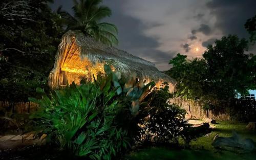 Cabaña ecologica en el Rio Cocorna Puerto Triunfo — hotel in Providencia