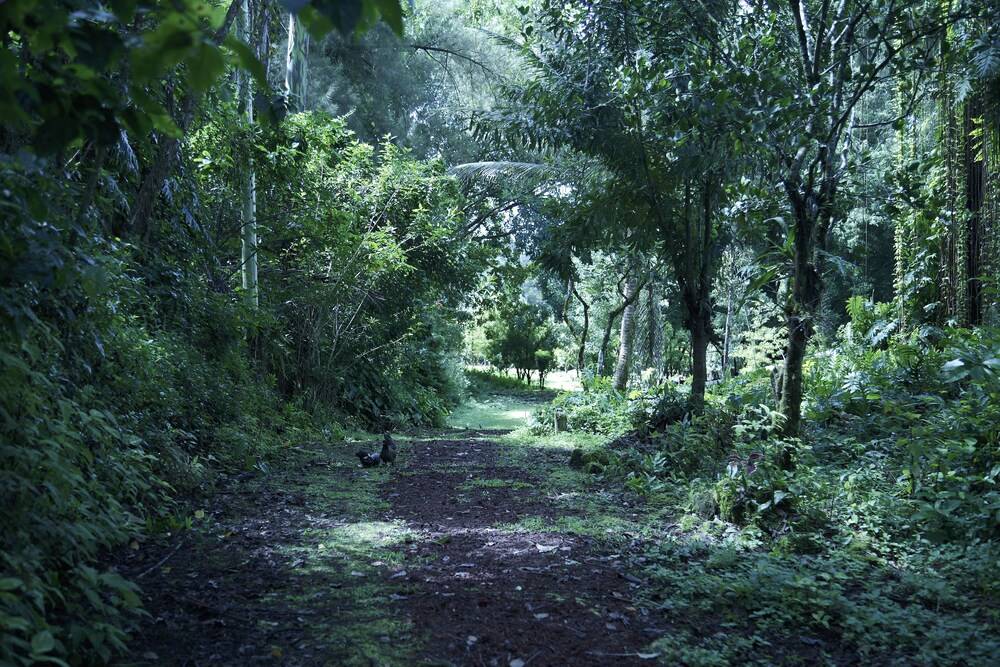 Enchanted Gardens - photo 23