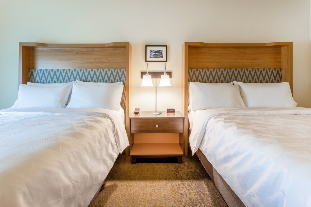 Holiday Inn & Suites Cedar Falls Waterloo Event Ctr by IHG - photo 11