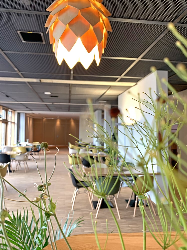 Hotel Alea Eco — Pfaffenhofen An Der Ilm — photo 2