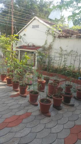 Birds Nest Home Stay