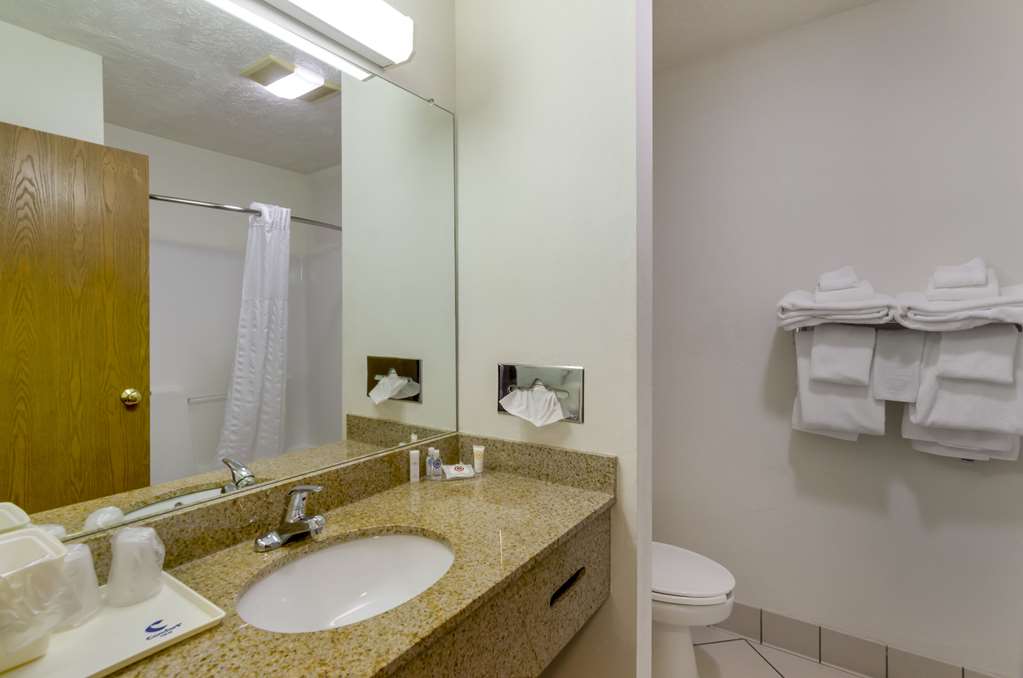 Comfort Inn Atkins Marion I 81 - photo 25