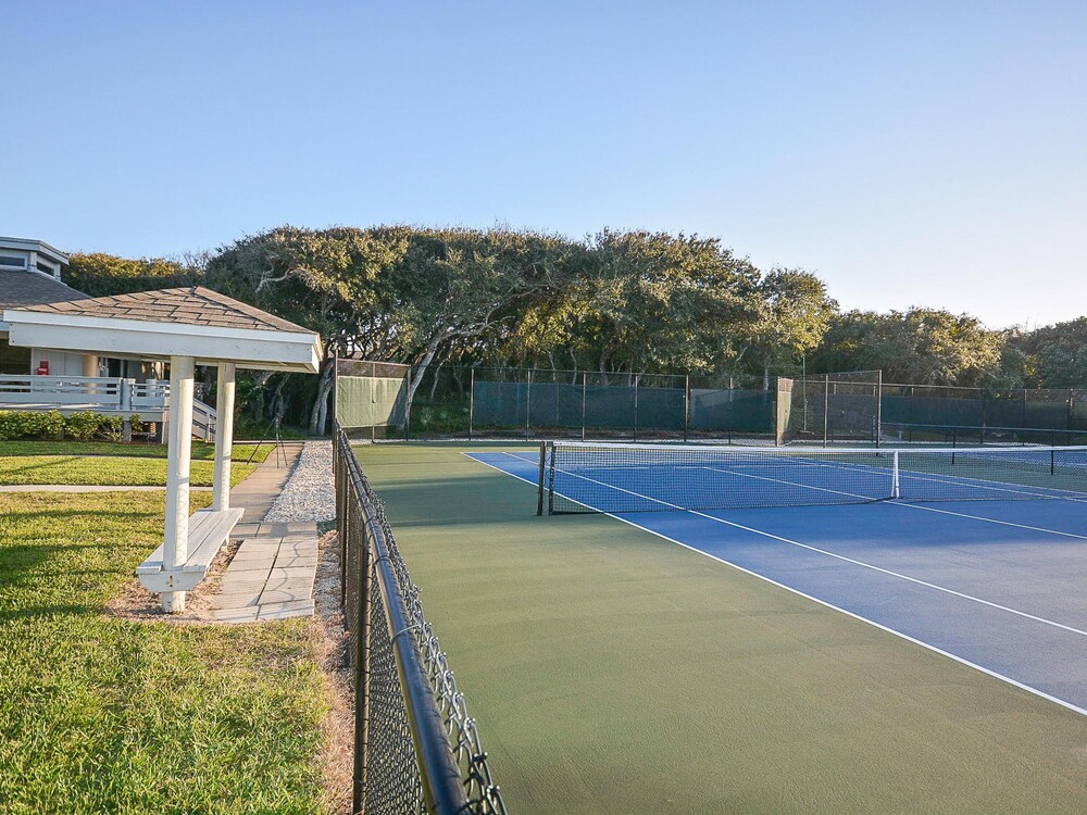 Sea Woods - photo 31