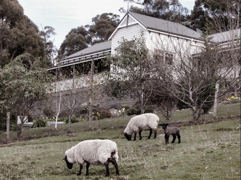 House on the Hill Bed and Breakfast — 5-Star Luxury Hotel in Huonville, Australia
