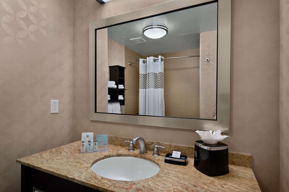 Hampton Inn & Suites Tampa Northwest Oldsmar - photo 18