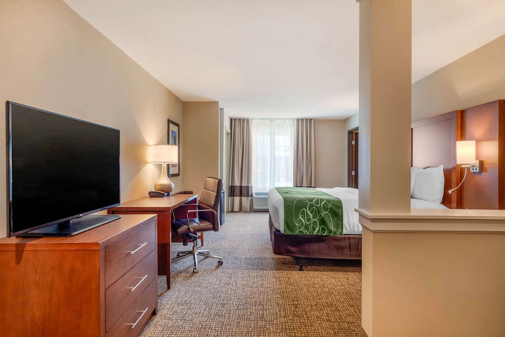Comfort Inn & Suites Schenectady Scotia - photo 12