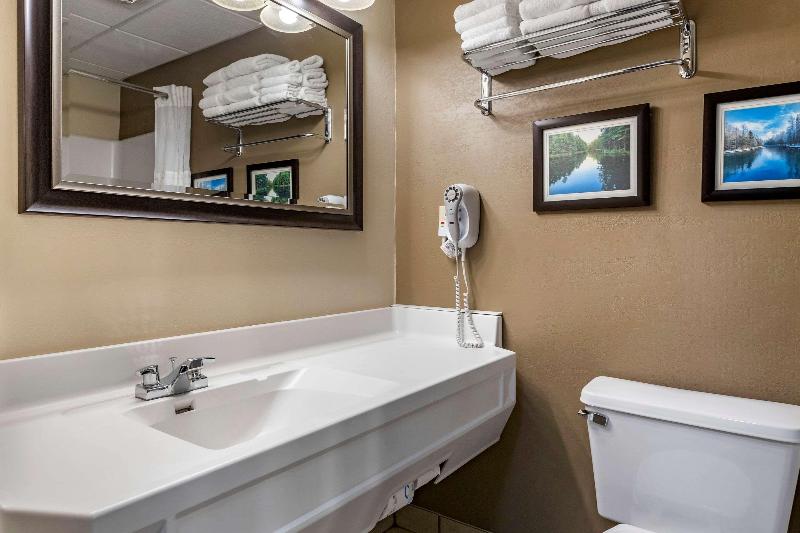 Comfort Inn Manistique MI - photo 87