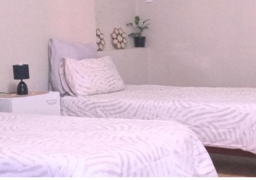 Suider Ozias Self Catering — Windhoek — photo 2