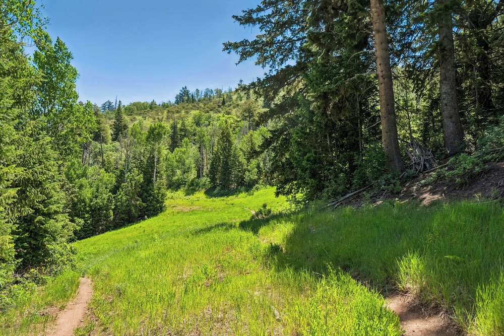 The St. Regis Deer Valley - photo 175