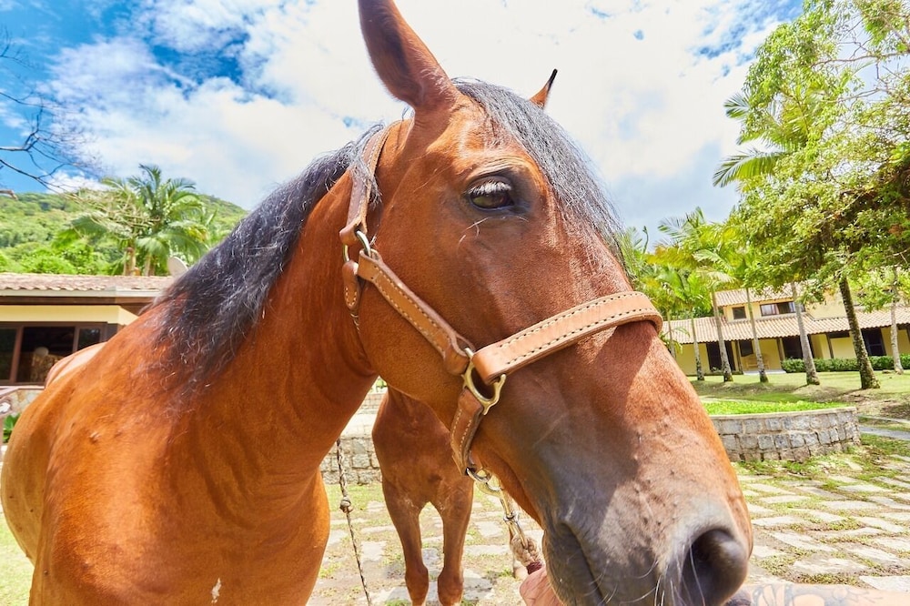Pousada Villa da Glória in Sao Francisco Do Sul, Brasil