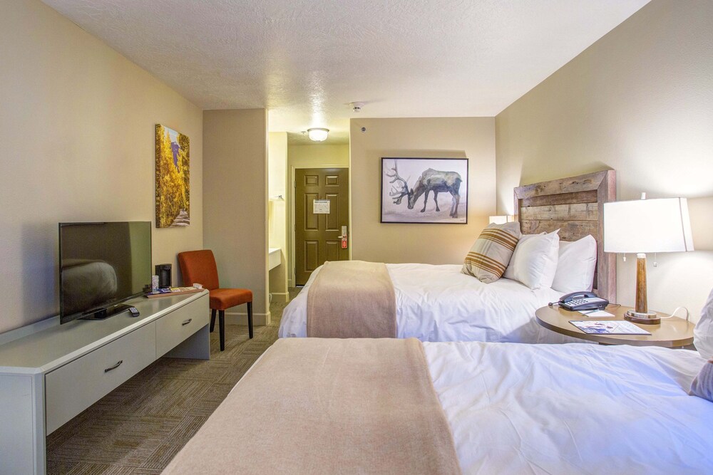 Trailhead Inn - photo 12