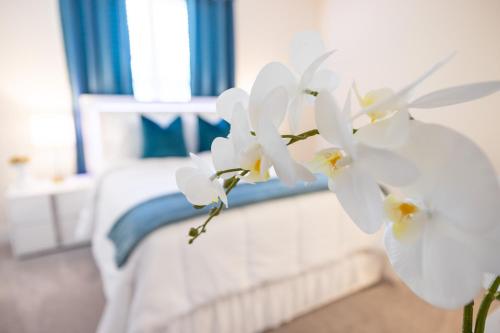 Allstar Luxury Home LLC — 4-Star Luxury Hotel in Durham, United States