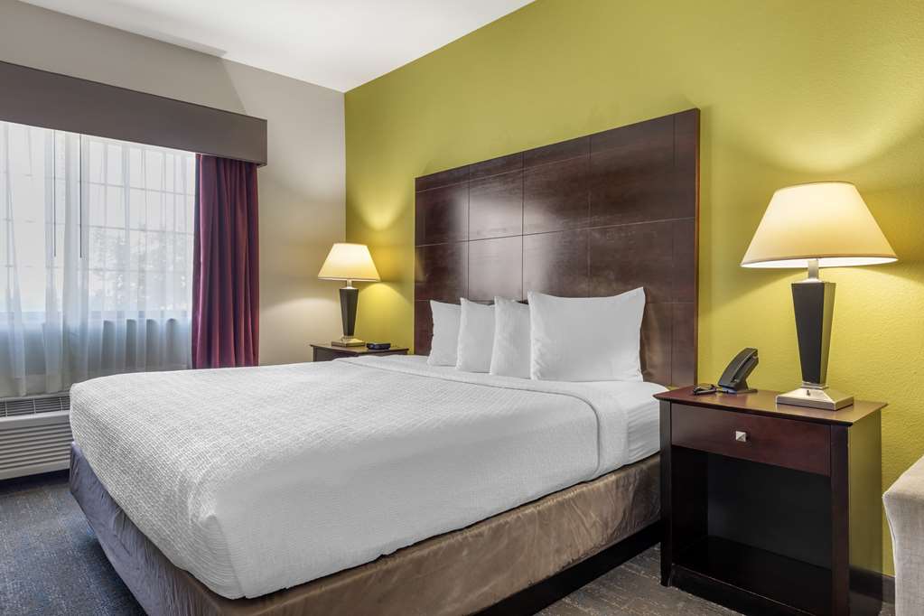Best Western Plus Mansfield Inn & Suites - photo 18