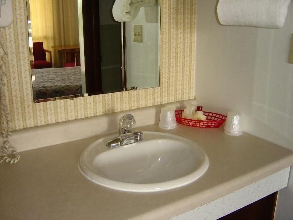 Viking Jr. Motel - photo 14