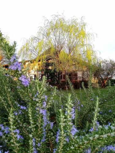 Podere Piandarca - carbon neutral hotel in Terranuova Bracciolini