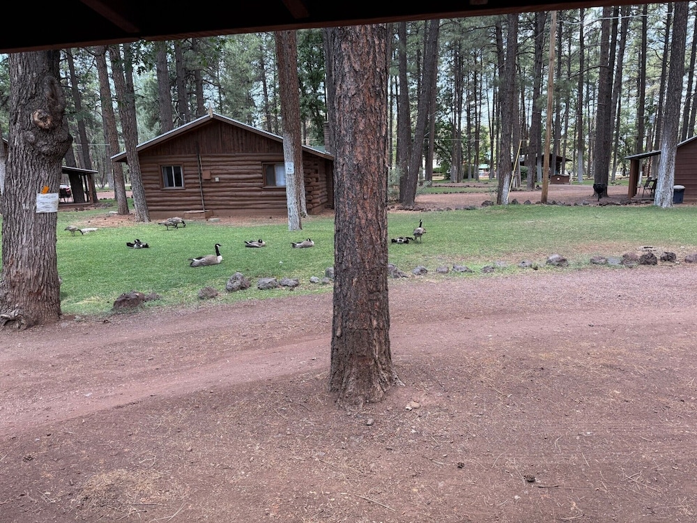 Lake of the Woods Resort - photo 17