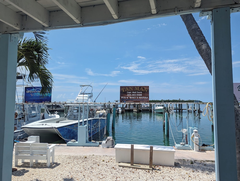 Bud N' Mary's Fishing Marina - photo 28