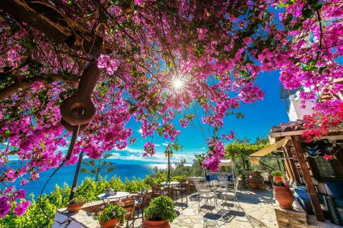 Pounda Paou - carbon neutral hotel in Unknown City