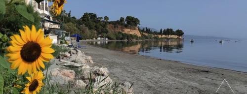 Artaki Beach Comfy Apartment — 4-Star Luxury Hotel in Koroni, Greece