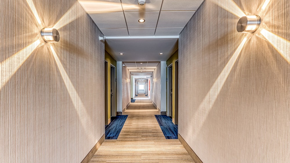 Holiday Inn Express & Suites Rantoul by IHG - photo 44