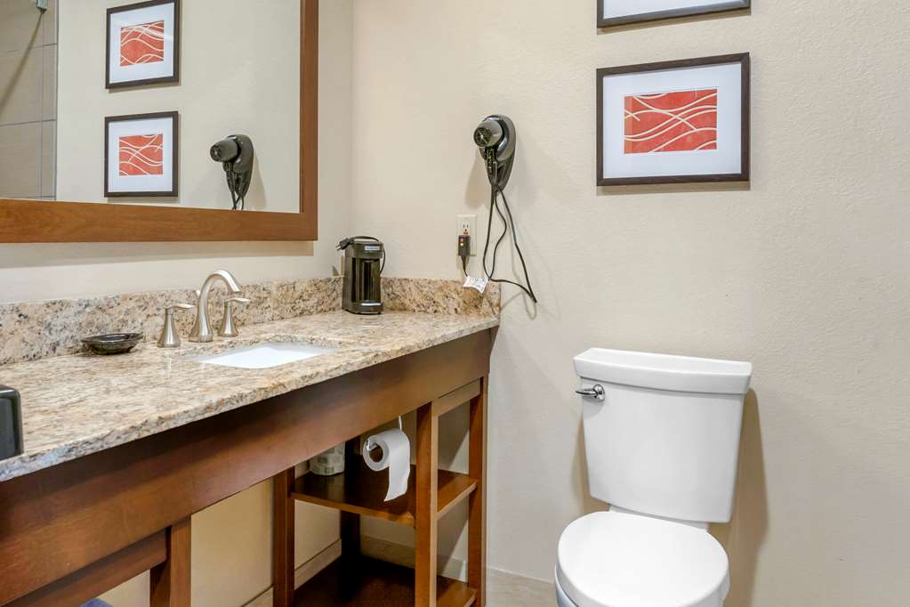 Comfort Inn Sault Sainte Marie - photo 10