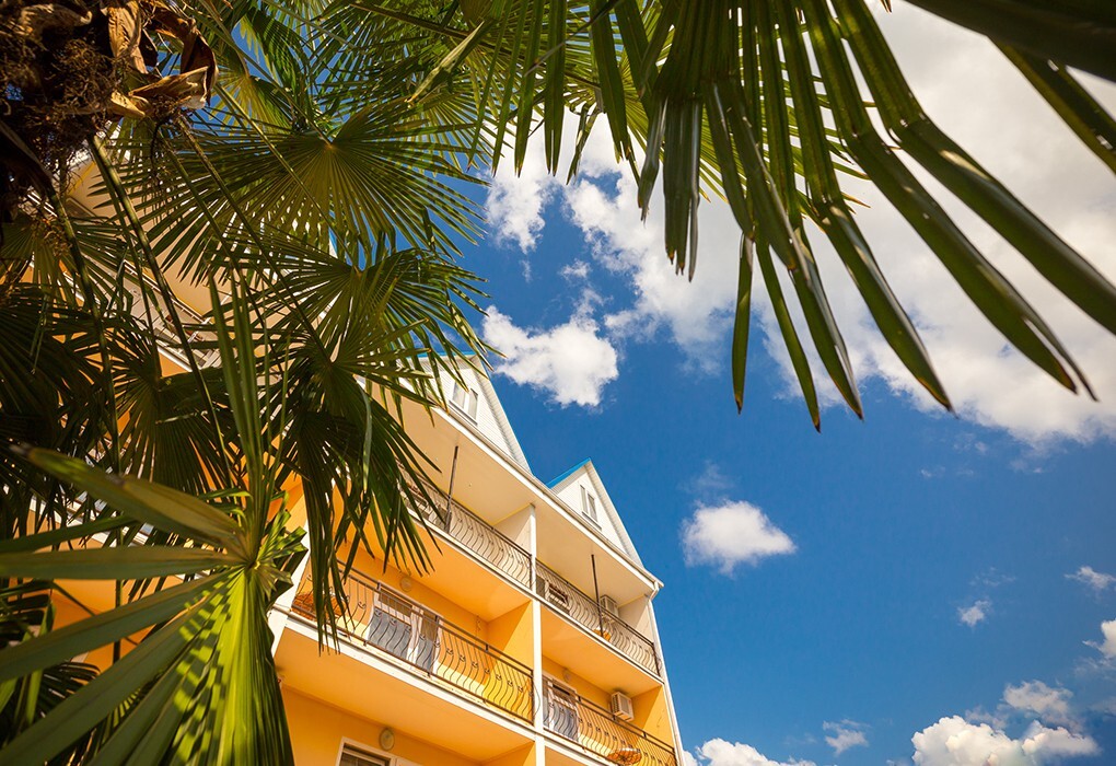 Rafael in Sochi, Russia