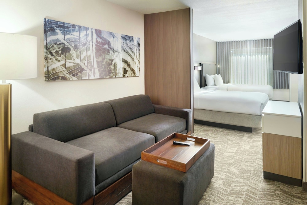 Springhill Suites By Marriott Atlanta Six Flags - photo 10