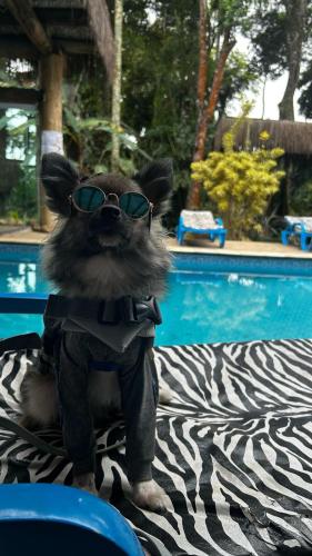 Lugar Incrivel Na Serra Da Cantareira Com Piscina Banheira Com Hidro Area Para Festas E Pet Friendly Para Caes — Mairipora