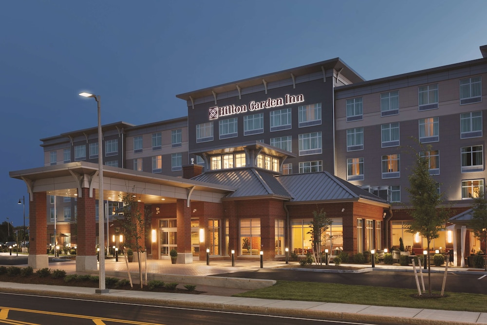 Hilton Garden Inn Boston Logan Airport - featured photo