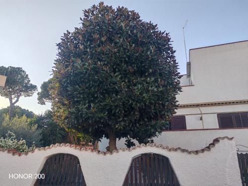 Aminth relax tra mare e colline in Santa Marinella, Italy