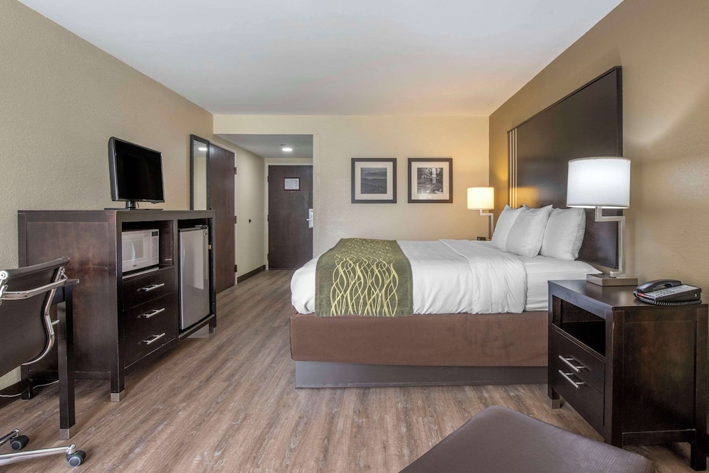 Comfort Inn Marion near Downtown & Blue Ridge PKWY - photo 11