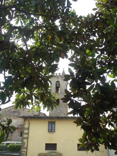 Il campanile — Cavriglia-Monastero — photo 3