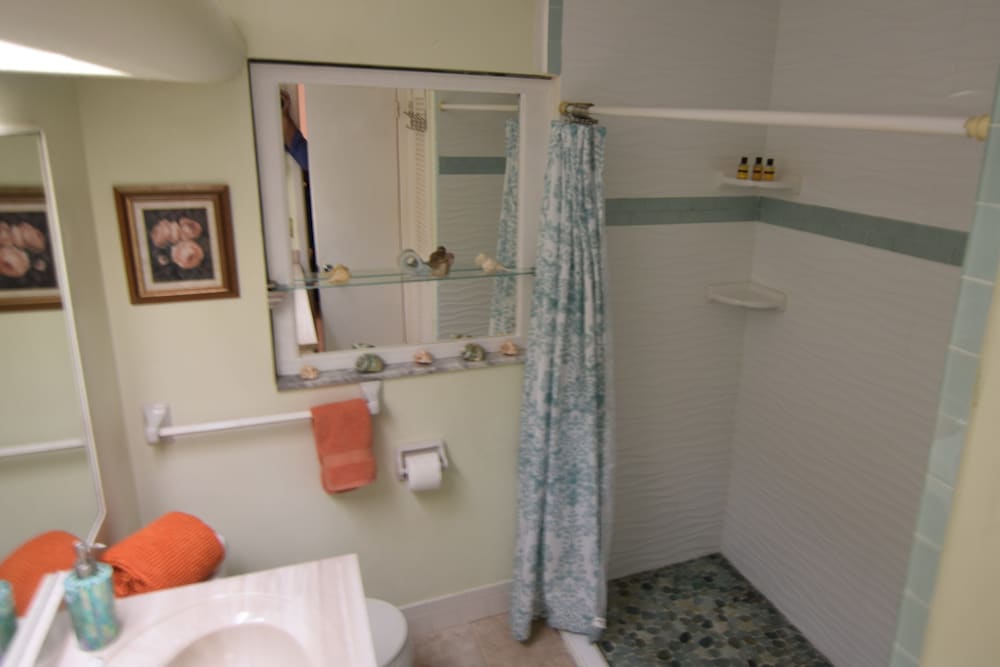 Oasis at John's Pass Madeira Beach - photo 43